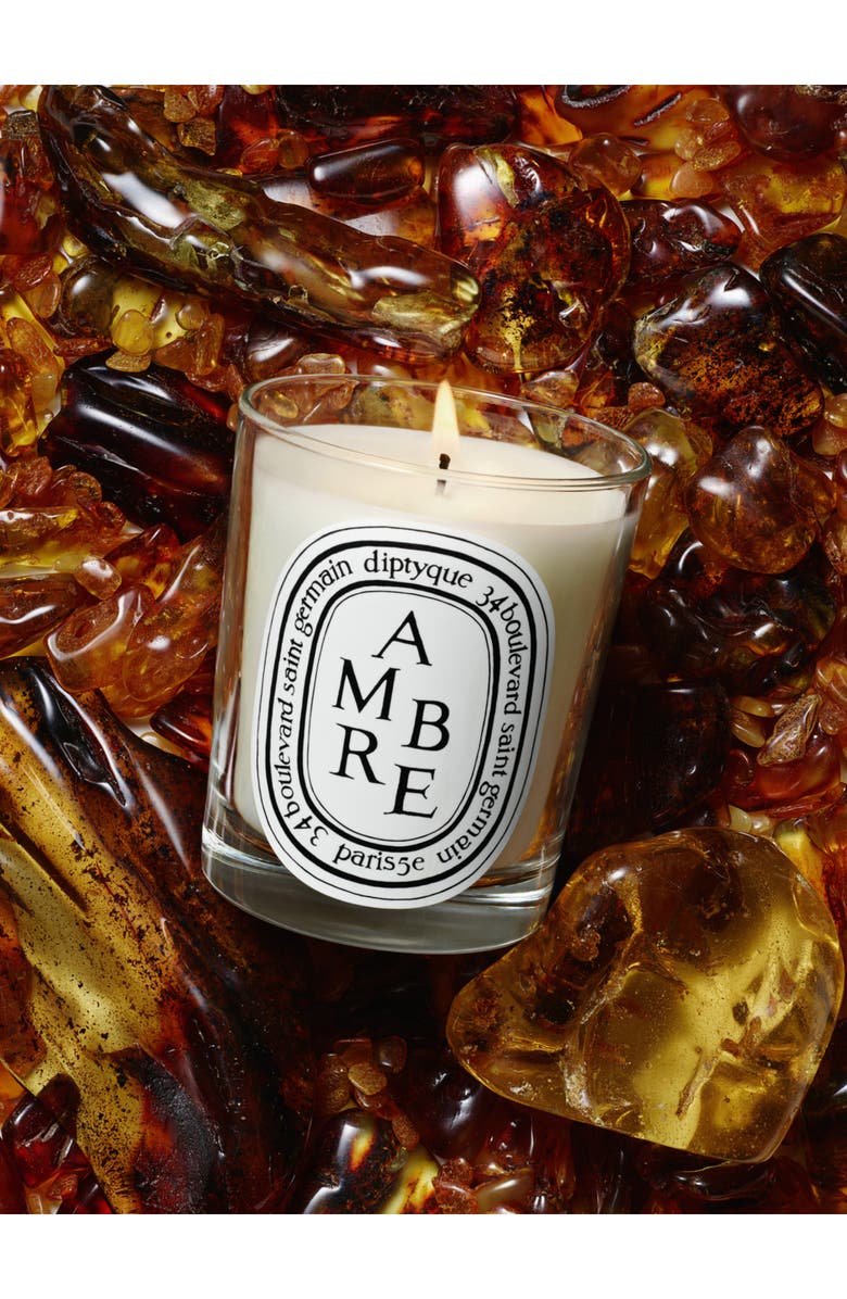 Diptyque Ambre (Amber) Scented Candle, Alternate, color,