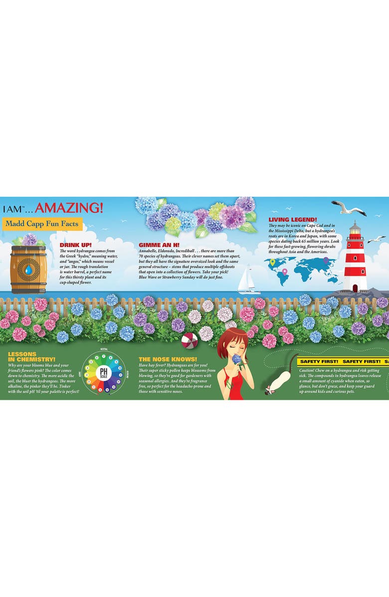 Madd Capp I Am Hydrangea 350 Piece Puzzle Floral Shaped Jigsaw, 22 X 22, Alternate, color, Multicolored