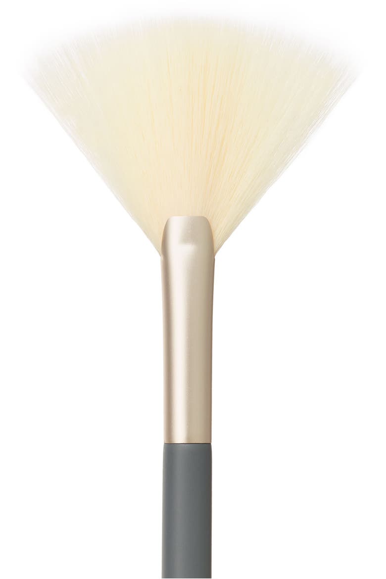 White Fan Brush, Alternate, color, NO COLOR