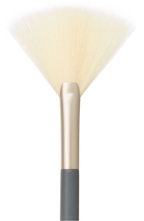 Jane Iredale White Fan Brush In No Color