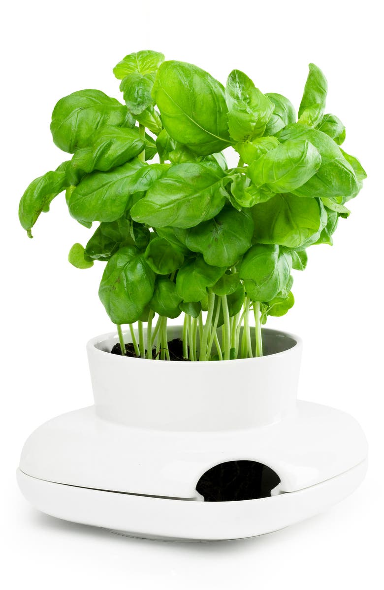 Sagaform Small Herb Pot, Alternate, color, 