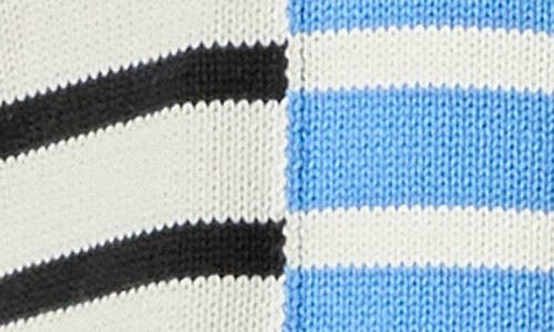 English Factory Stripe Half Zip Pullover In Powder Blue/black