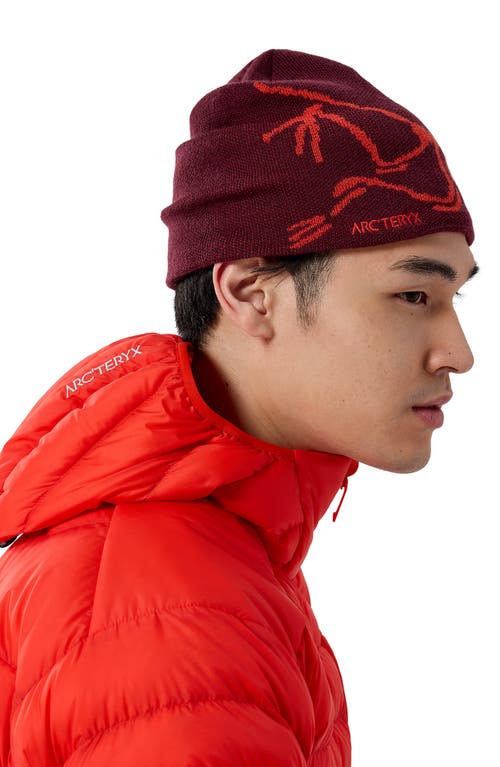 Arc'teryx Bird Head Merino Wool Blend Beanie In Burgundy