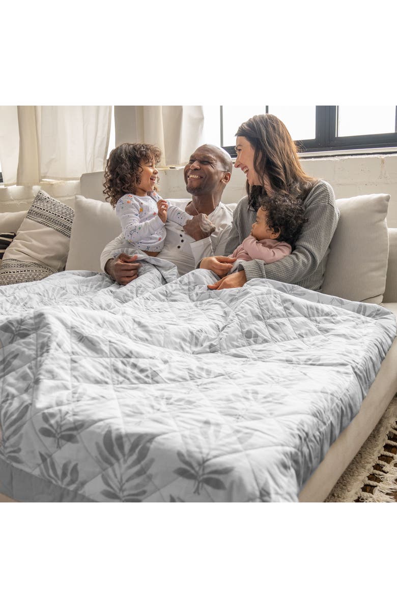 aden + anais Embrace Lounge Weighted Blanket, Alternate, color, 