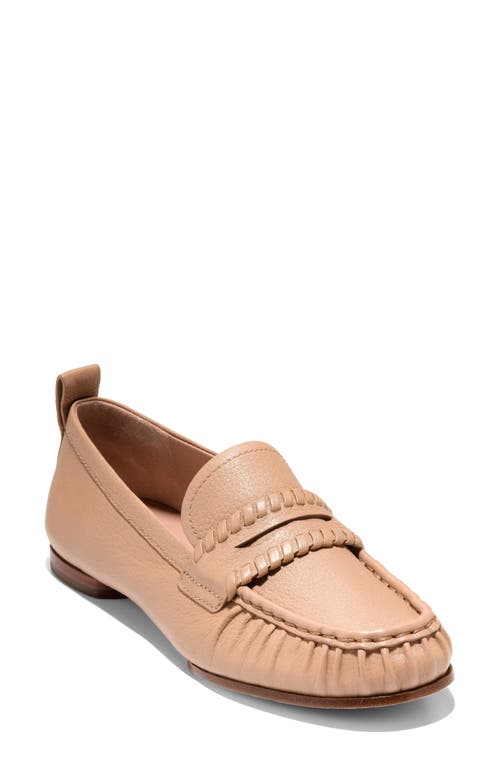 Cole Haan Danby Travel Loafer In Brown