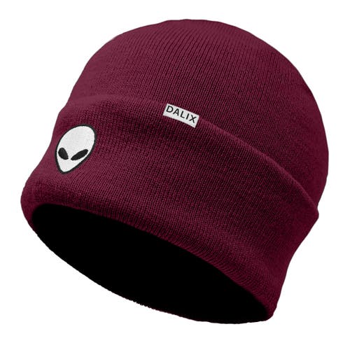 Dalix Alien Beanie In Maroon