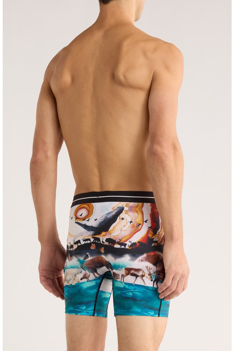 Volt Breathable Sim Fit Mesh Boxer Briefs, Alternate, color, GREAT MIGRATION-MLTI