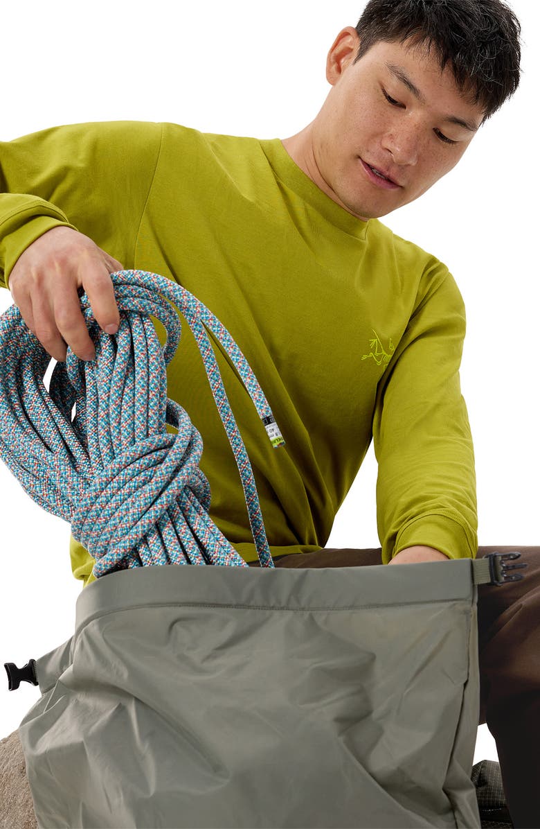 Arc'teryx Kragg Long Sleeve Cotton Graphic T-Shirt, Alternate, color, Olive Moss