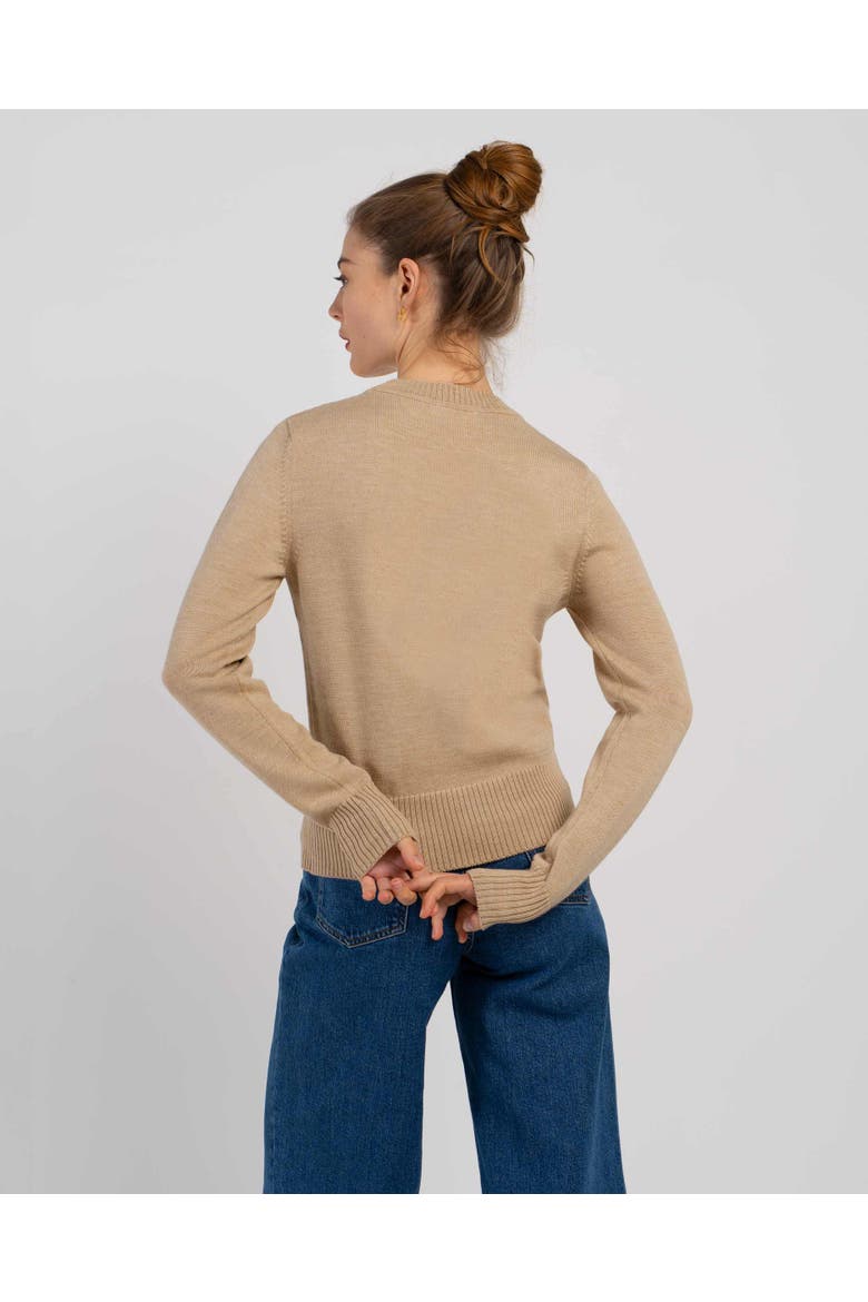 Minna Long Sleeve Crew Neck Sweater, Alternate, color, Soft Camel