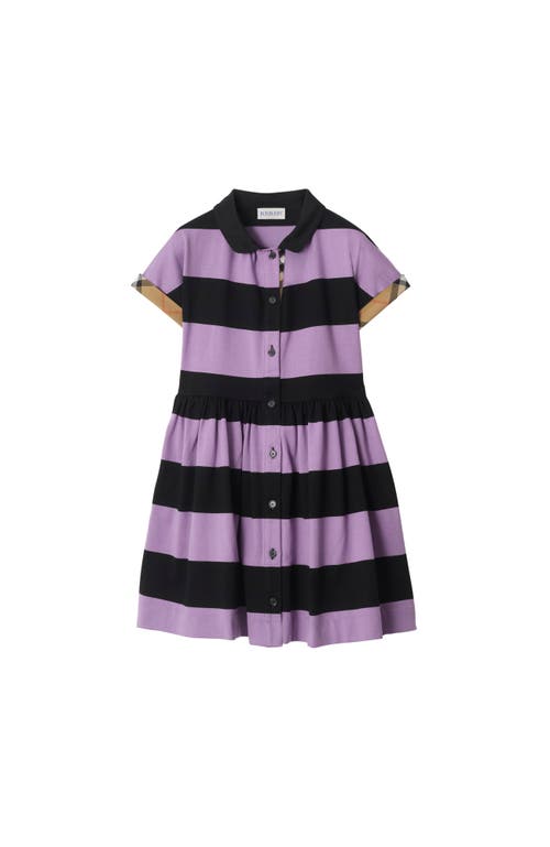 Burberry Check Trim Striped Cotton Shirt Dress In Purple