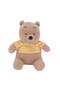Disney Baby WINNIE THE POOH Plush Bear Stuffed Animal Toy