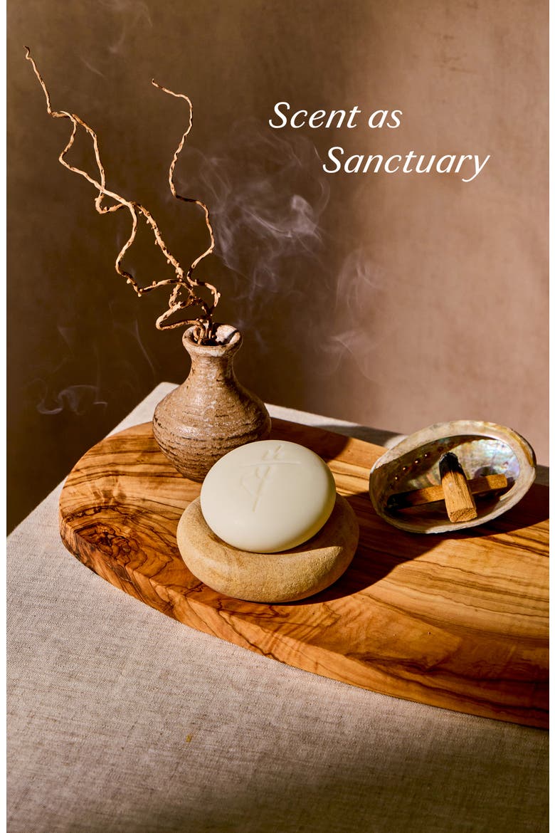 Amber & Vanilla Body Stone - Moisturizing Lotion Bar (Limited Edition), Alternate, color, NO COLOR