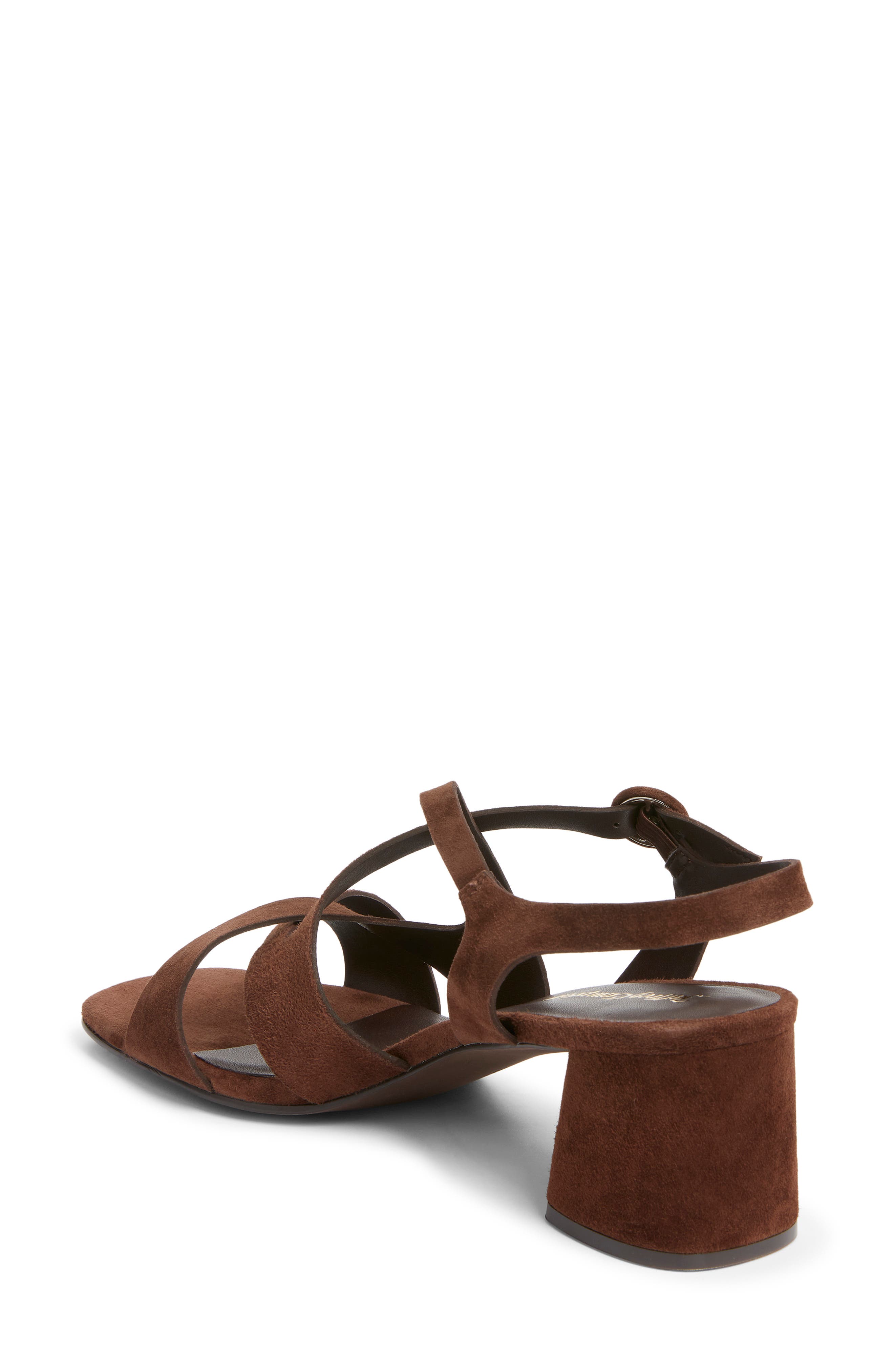 Rayet Strappy Block Heel Sandal, Alternate, color, BROWN SUEDE