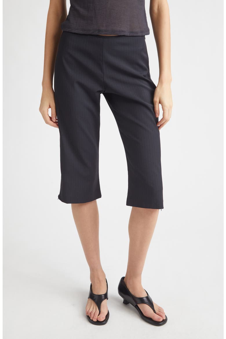 Lumieti Pinstripe Side Zip Capri Pants, Main, color, DARK GREY