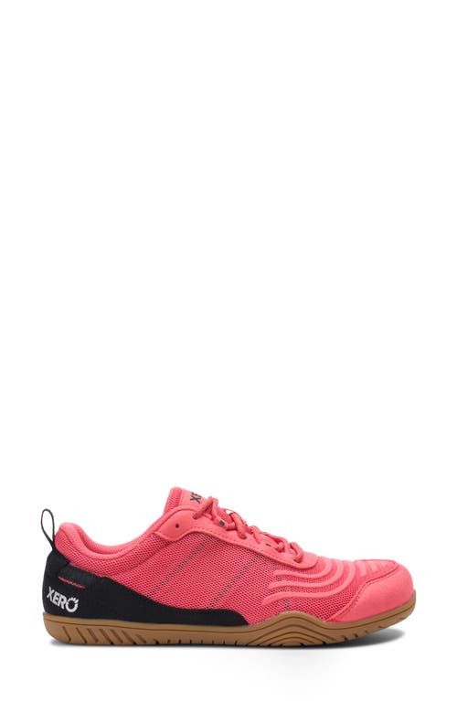 Xero Shoes 360° Cross Training Shoe
