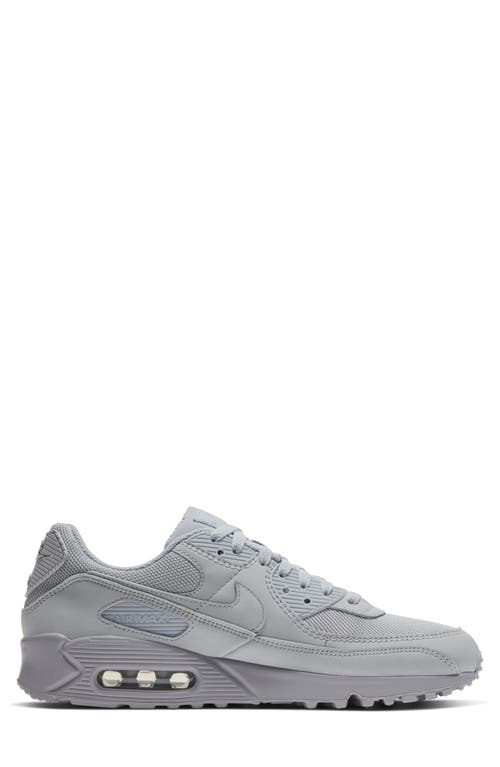 Nike Air Max 90 Sneaker In Gray