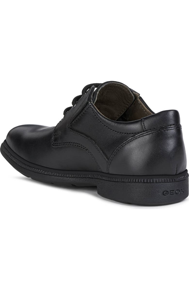 Geox Federico 7 Derby, Alternate, color,