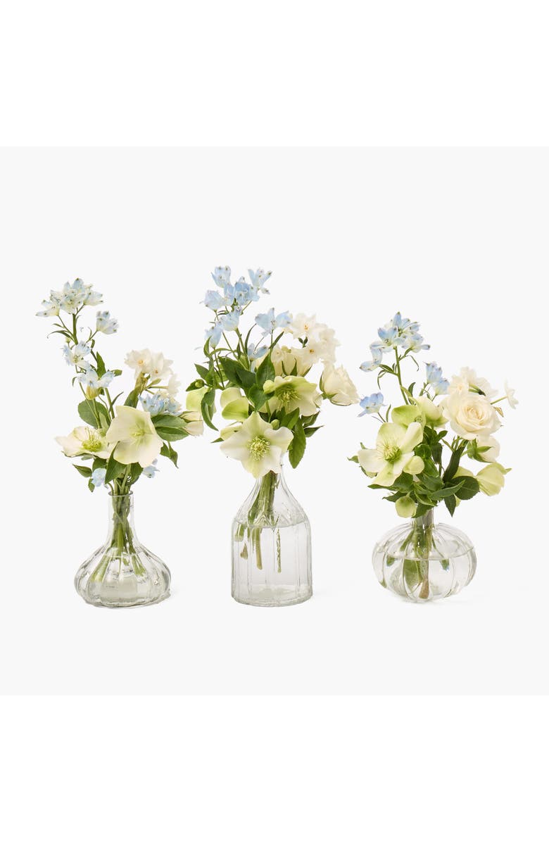 Mrs. Alice Romance Bud Vases, Main, color, Clear