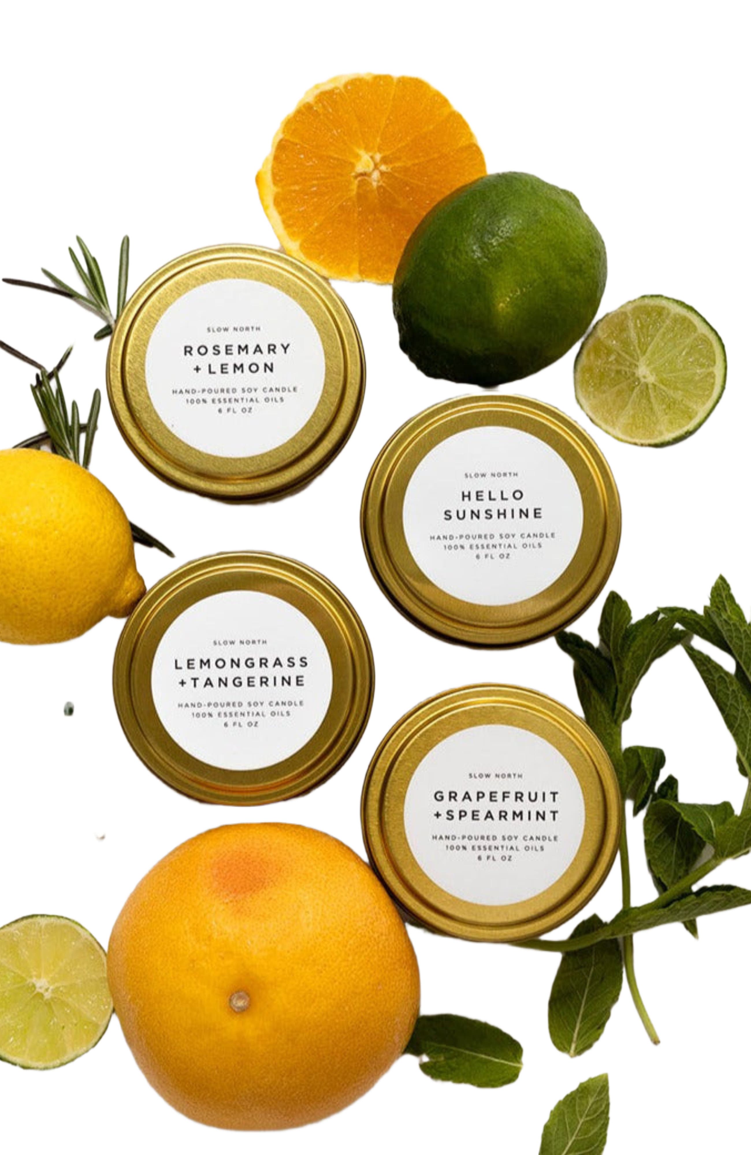 SLOW NORTH Fresh Collection - 4 Pack 