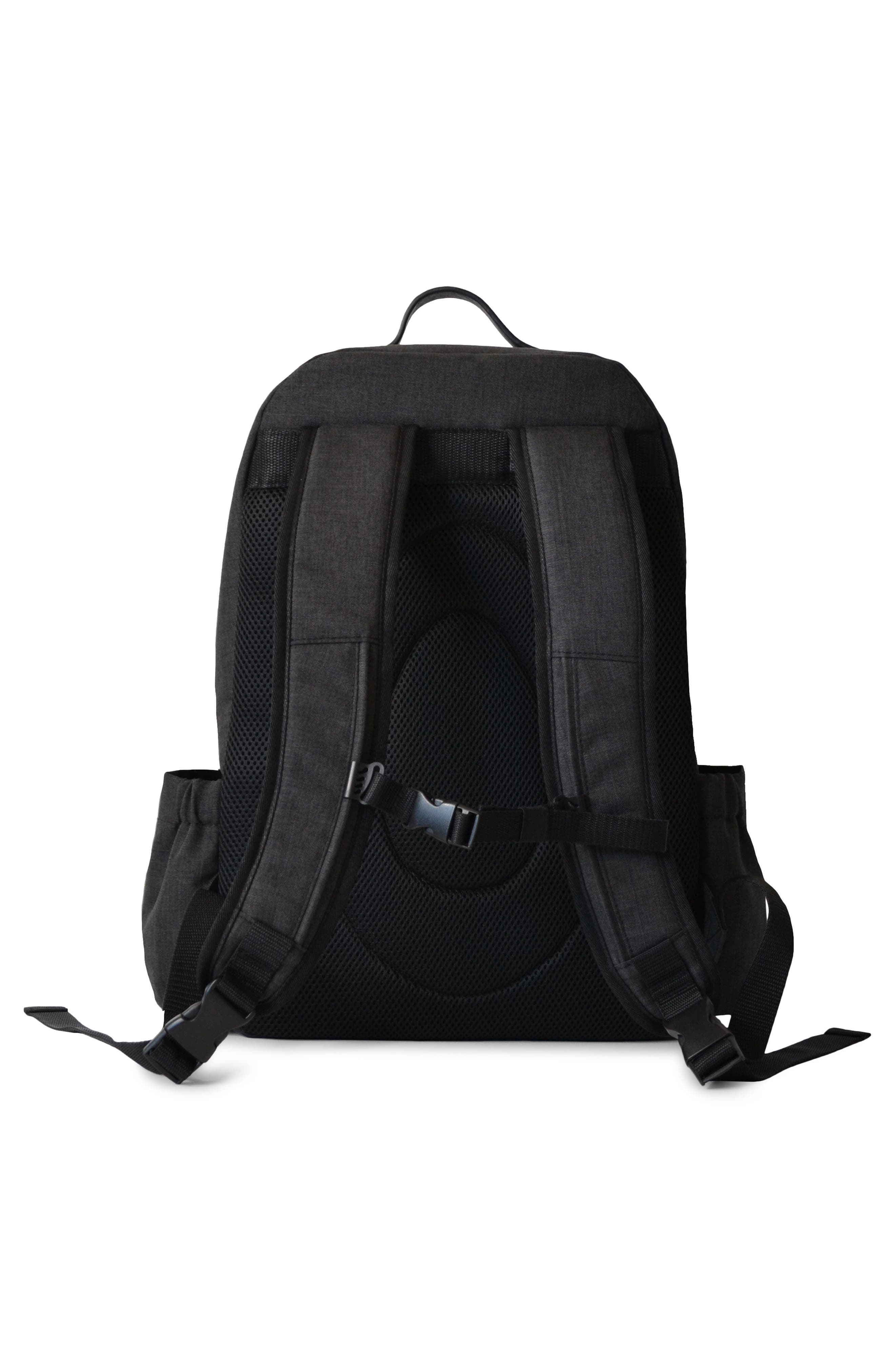 PacaPod Picos Pack Diaper Bag, Alternate, color, 