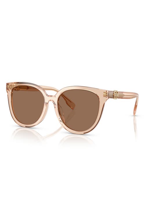 Tory Burch 56mm Phantos Sunglasses In Transparent
