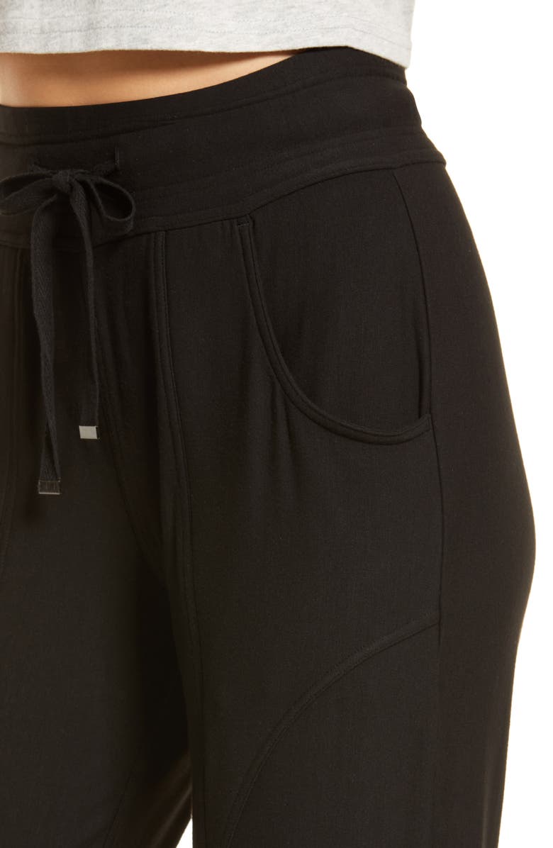 Hue Cozy Curves High Waist Pocket Joggers, Alternate, color, Black