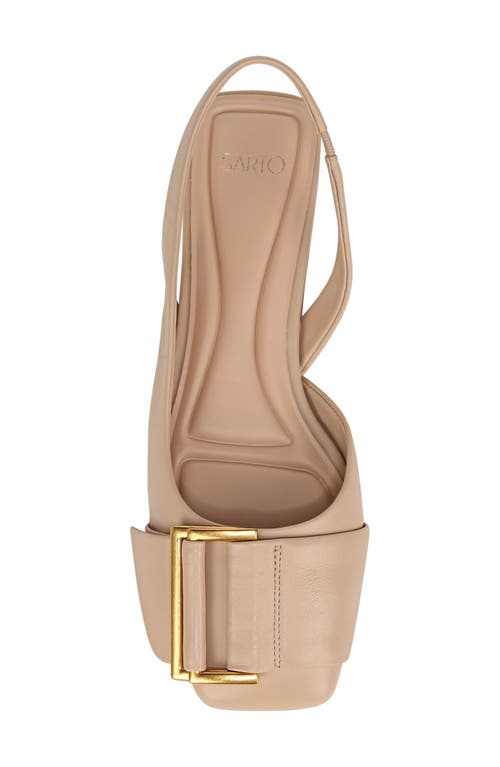 Sarto By Franco Sarto Tracy Slingback Square Toe Flat