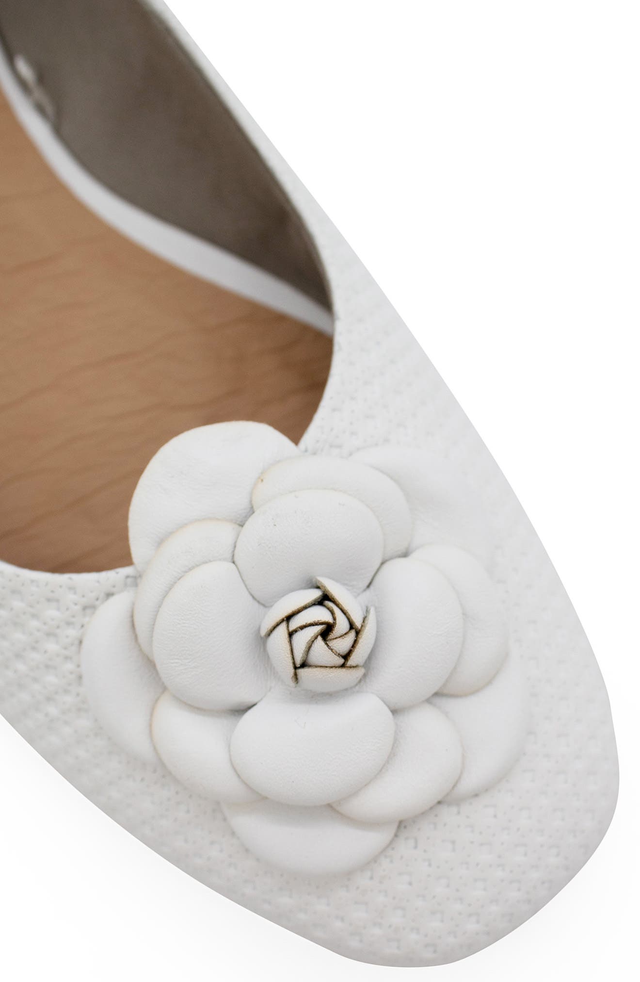 Botsamya Ballet Flat, Alternate, color, BCO / BCO