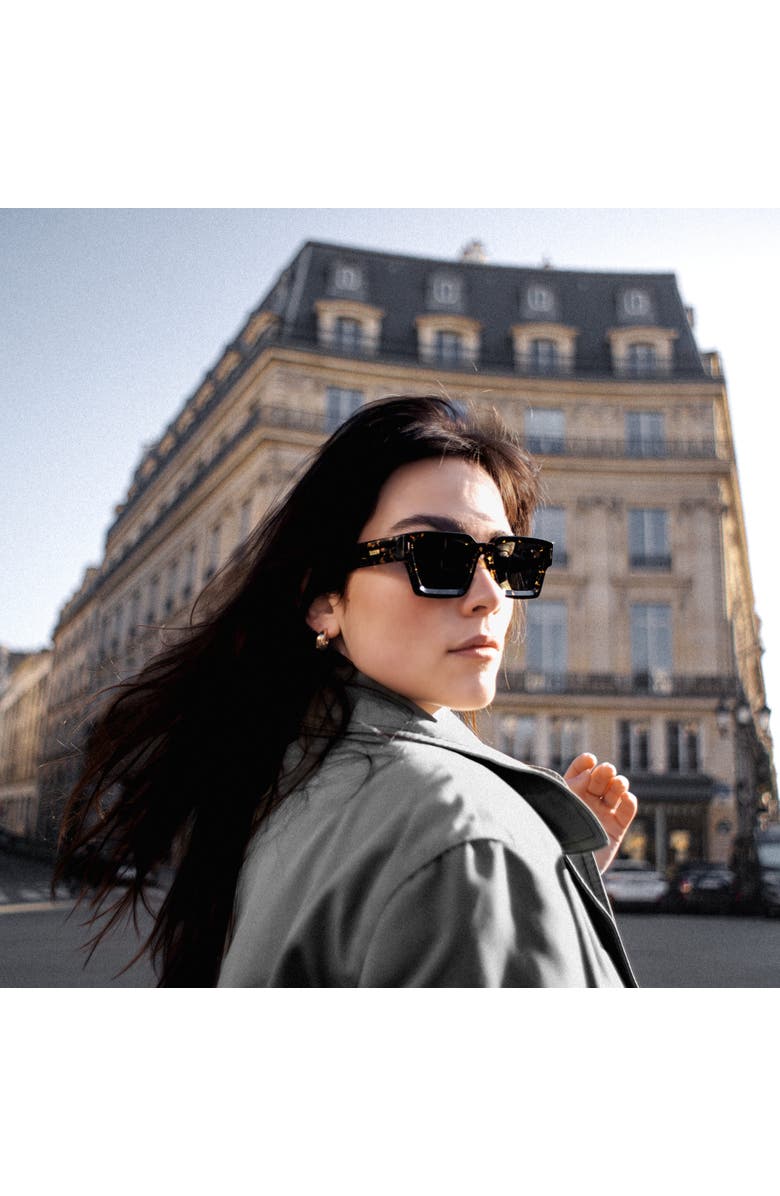 Taxxon Eyewear 008 Havana Sunglasses, Alternate, color, 