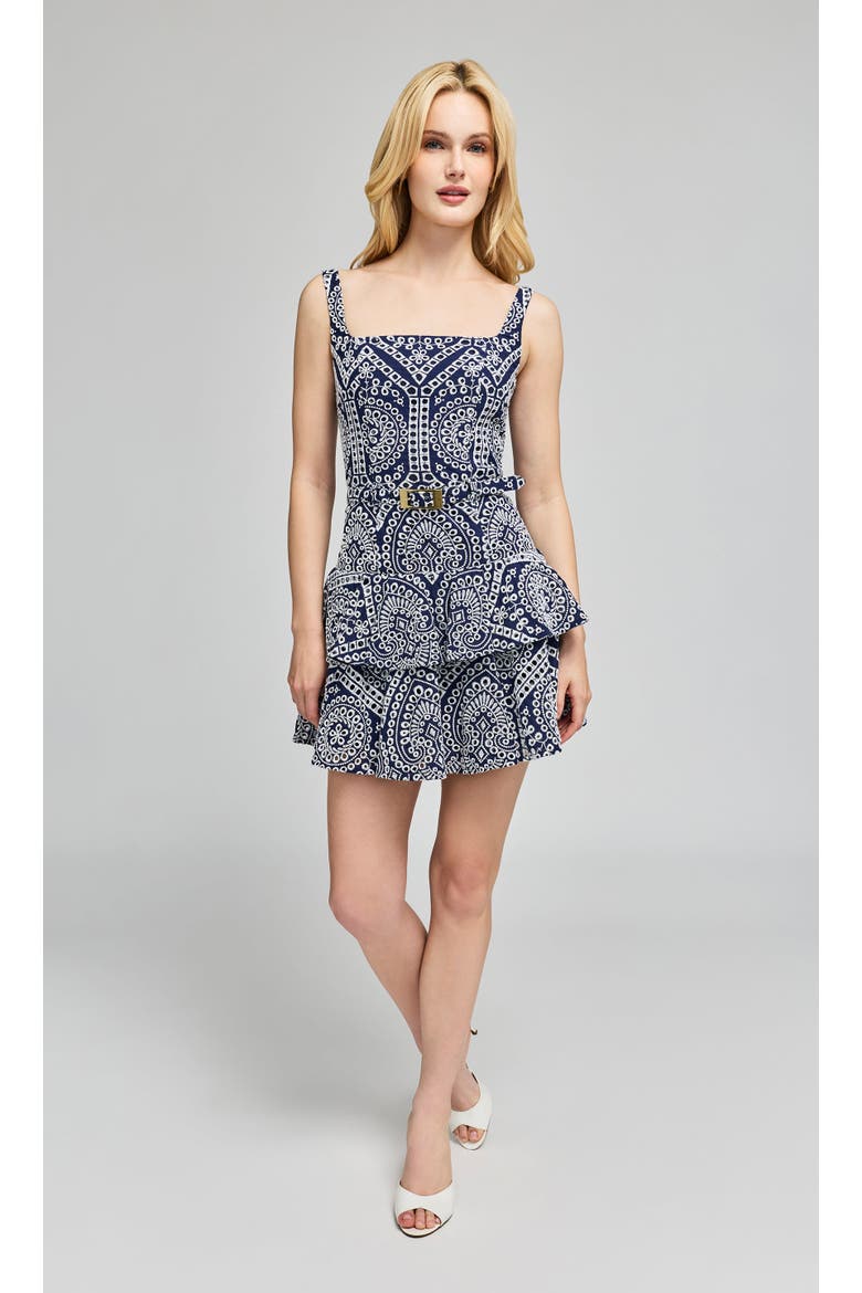 Lisette Cotton Eyelet Dress, Alternate, color, Navy/White