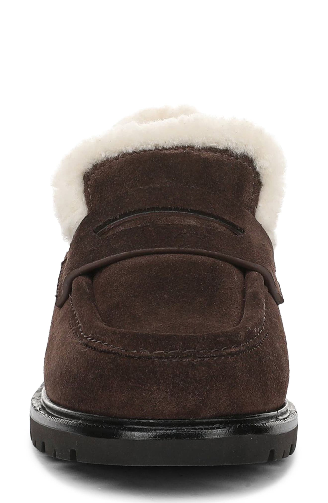 Siena Genuine Shearling Lined Lugged Penny Loafer, Alternate, color, CACAO BROWN SUEDE