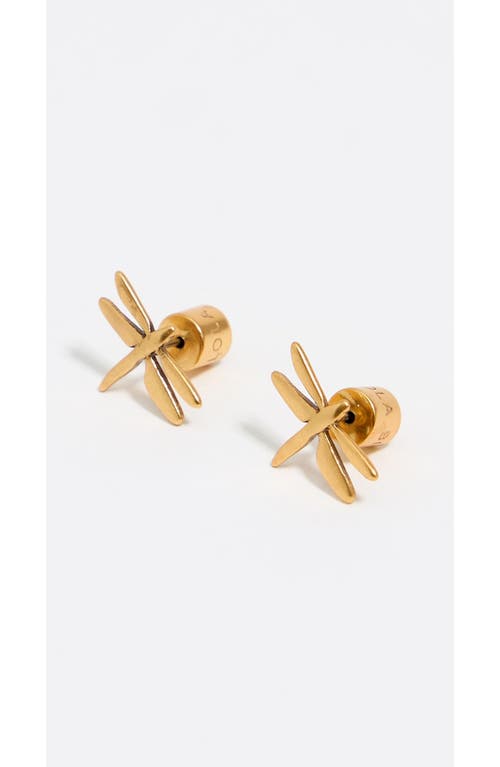 Bimba Y Lola Dragonfly Earrings In Gold