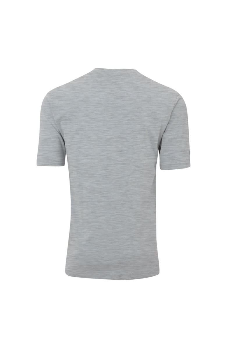 AHEAD Men's Ahead  Gray THE PLAYERS Arched Logo Pembrooke T-Shirt, Alternate, color, Gray