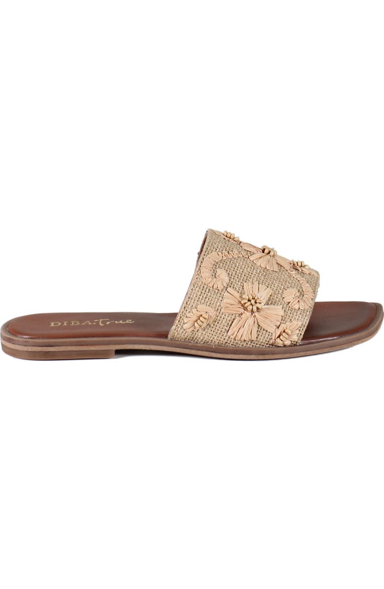 Diba True Viva City Slide Sandal, Alternate, color,