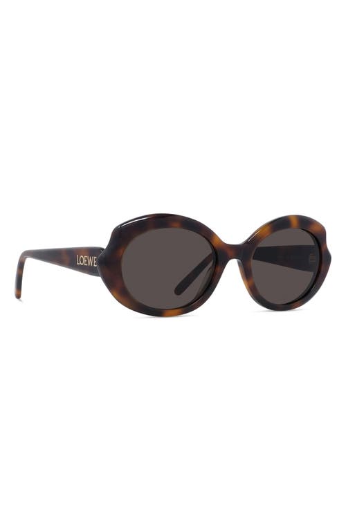 Loewe Thin Mini 54mm Oval Sunglasses In Brown