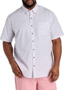 Harbor Bay by DXL Big & Tall Easy-Care Small Plaid Sport Shirt V3