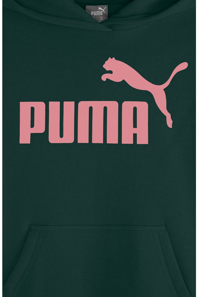 Kids' Logo Fleece Hoodie, Alternate, color, GREEN TERRAIN