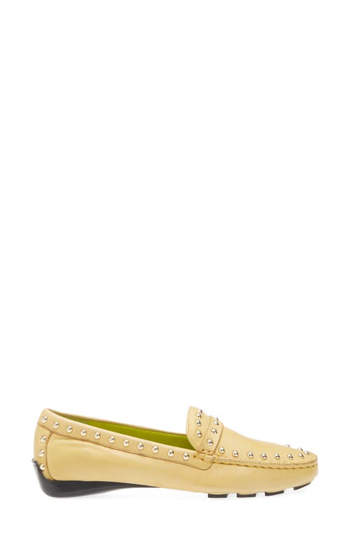 Robert Zur Dittany Studded Driving Loafer