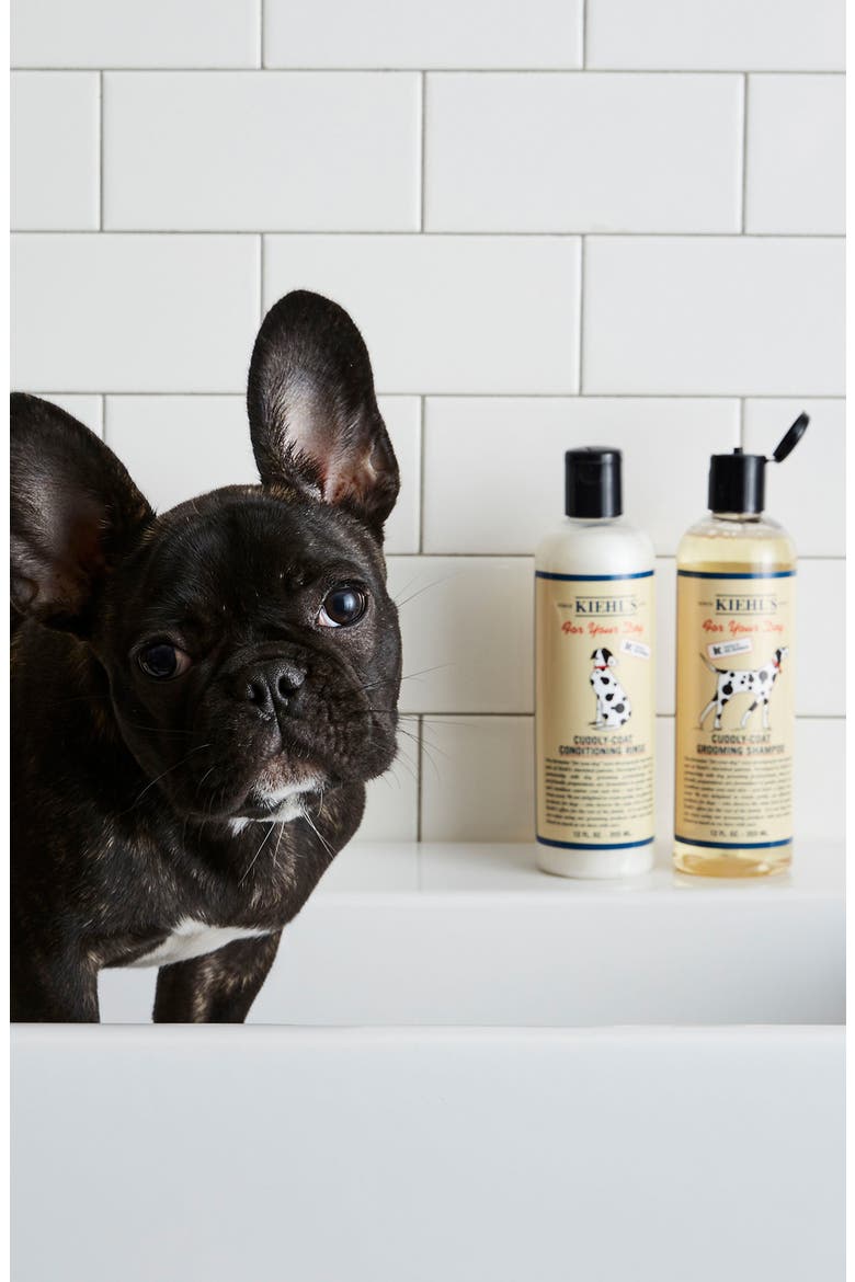 'Cuddly-Coat' Dog Grooming Shampoo, Alternate, color, NO COLOR