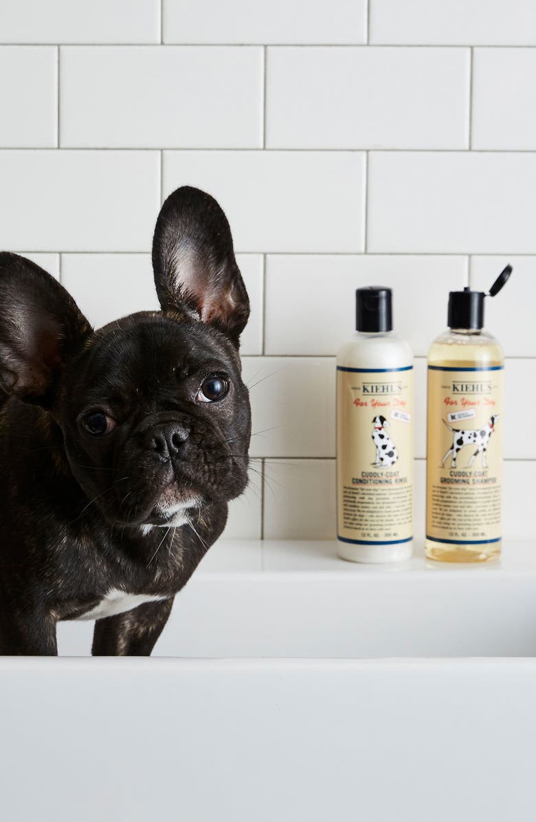 Kiehl's Since 1851 , Alternate, color,