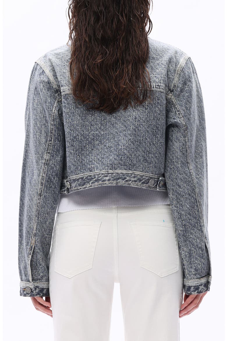 Print Denim Jacket, Alternate, color, MEDIUM BLUE