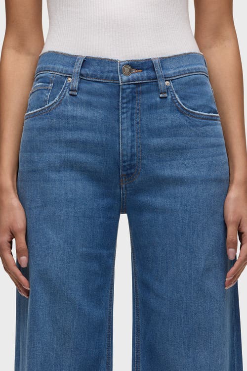 Hudson Jodie Loose Fit Wide Leg Jeans In Canyon Spring