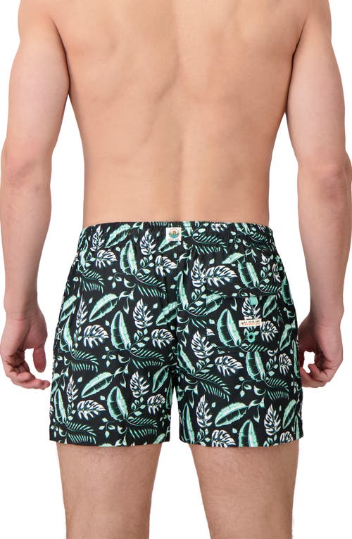 Sunset X Vine Leaf Print Swim Trunks