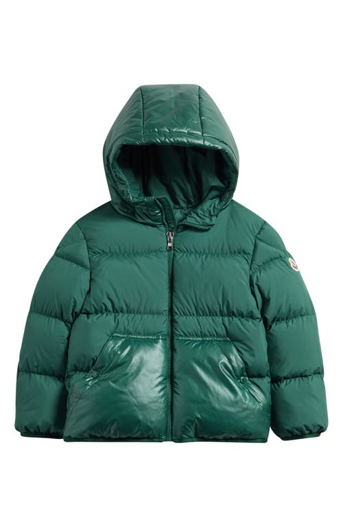 Moncler Kids' Barin Down Puffer Coat In Green