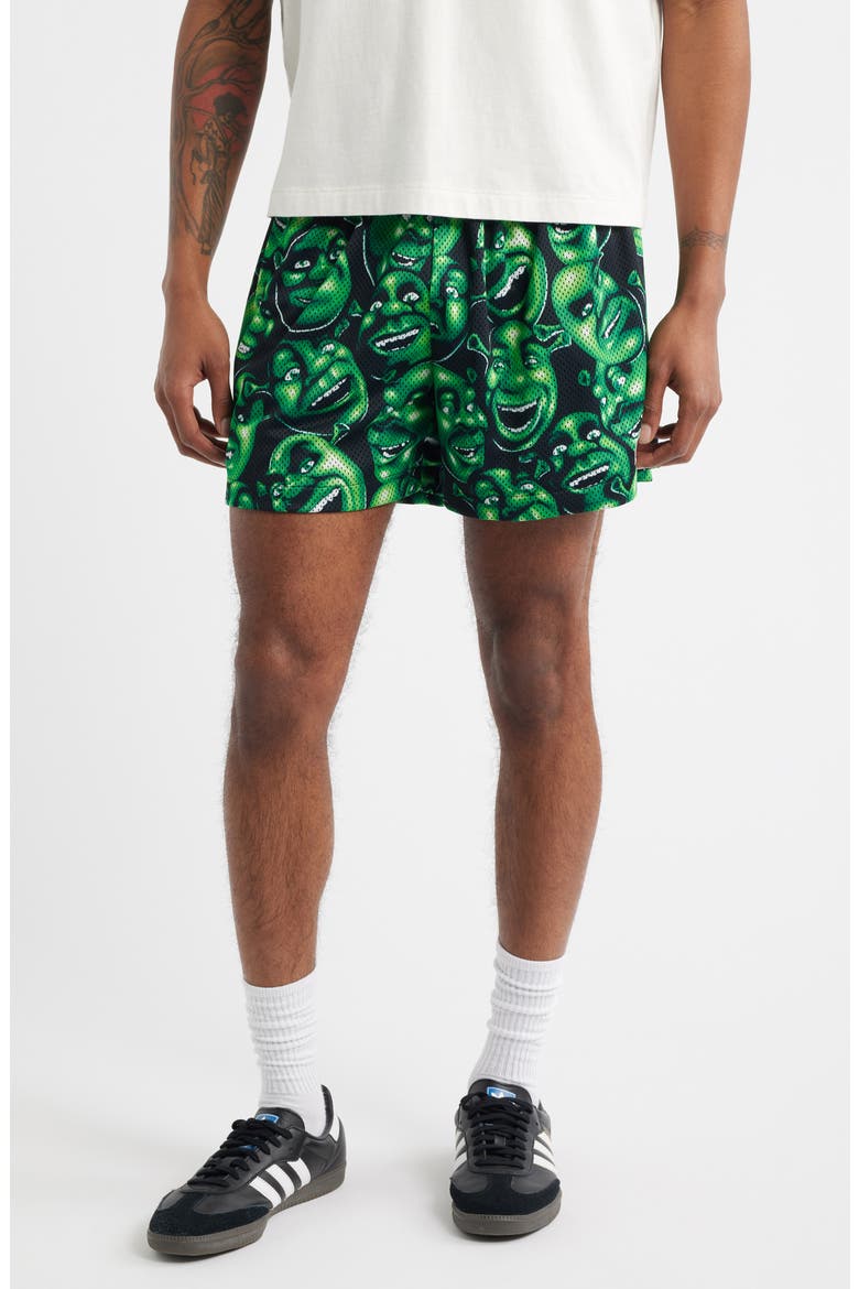 x Shrek™ Print Mesh Shorts, Main, color, GREEN