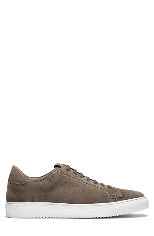 Gernie Elastic Lace Leather Sneaker In Gray
