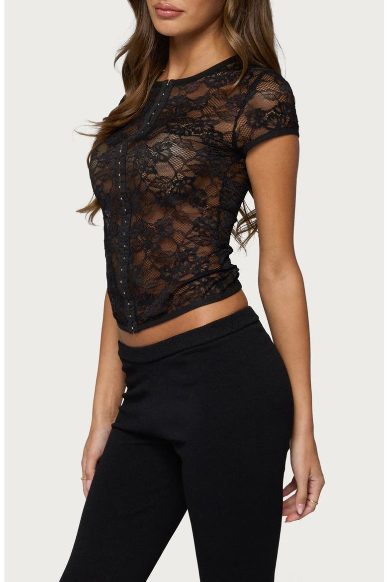 Jessi Sheer Lace Hook & Eye Top, Alternate, color, BLACK
