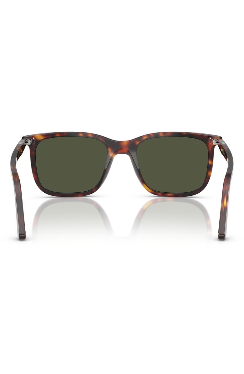 Persol 53mm Rectangular Sunglasses, Alternate, color, Havana