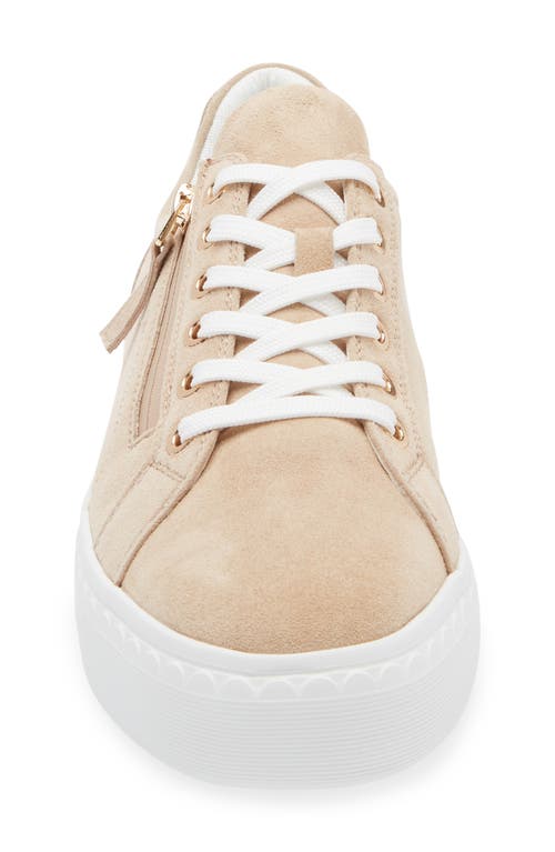 Regarde Le Ciel Nathaly Platform Sneaker In Etna Desert