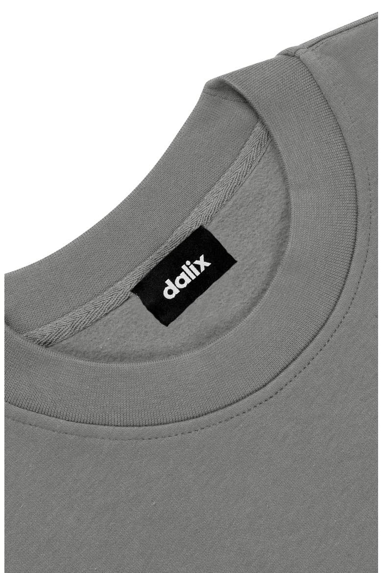 Astronaut Relaxed Midweight Fleece Crewneck Sweatshirt, Alternate, color, Shadow